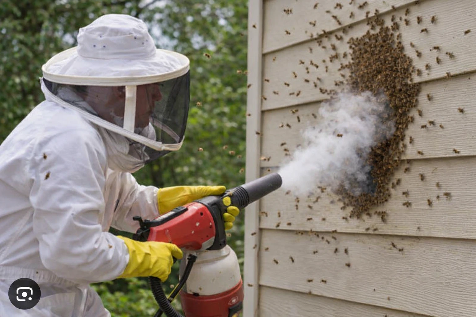 Bee Control