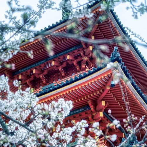 Keihan Spoorweg | Kyoto–Osaka Bezienswaardighedenpas E-voucher (1-daags of 2-daags) & OSAKA Metro 1-daags Pas