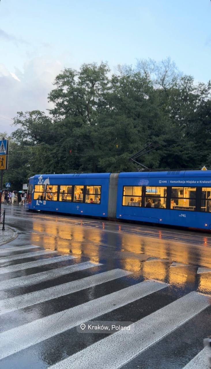 Vintage Car Under Palm Trees