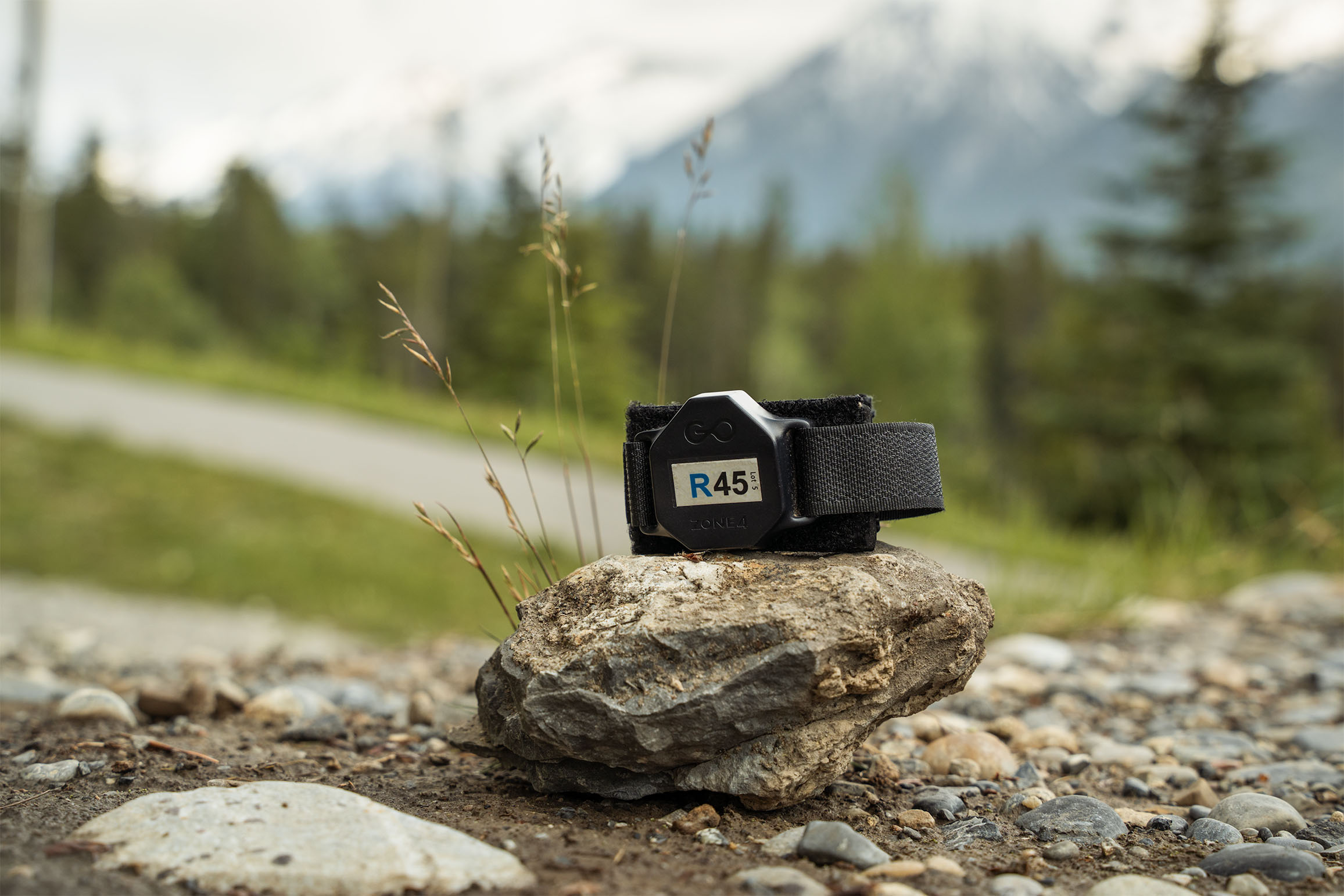 A zone4 racetimer sits on a rock with a mountain view behind it