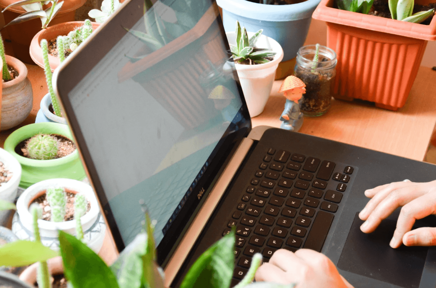 Hands typing on a laptop surrounded by plants, representing the need for smarter, unified Amazon ad management that prevents fragmented campaign control.