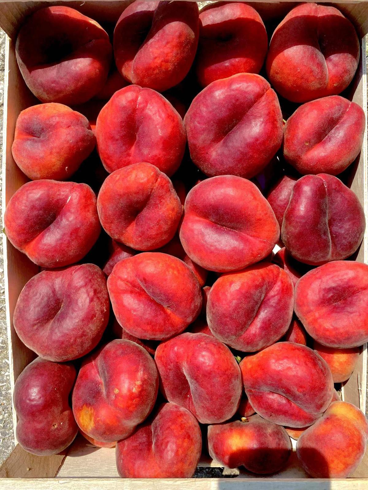 Flat peaches (Paraguayos) packed in wooden crates for export.