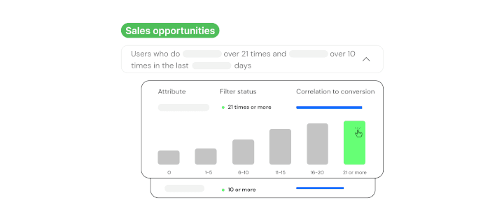 Our segmentation logic expressed in Toplyne (data representational)