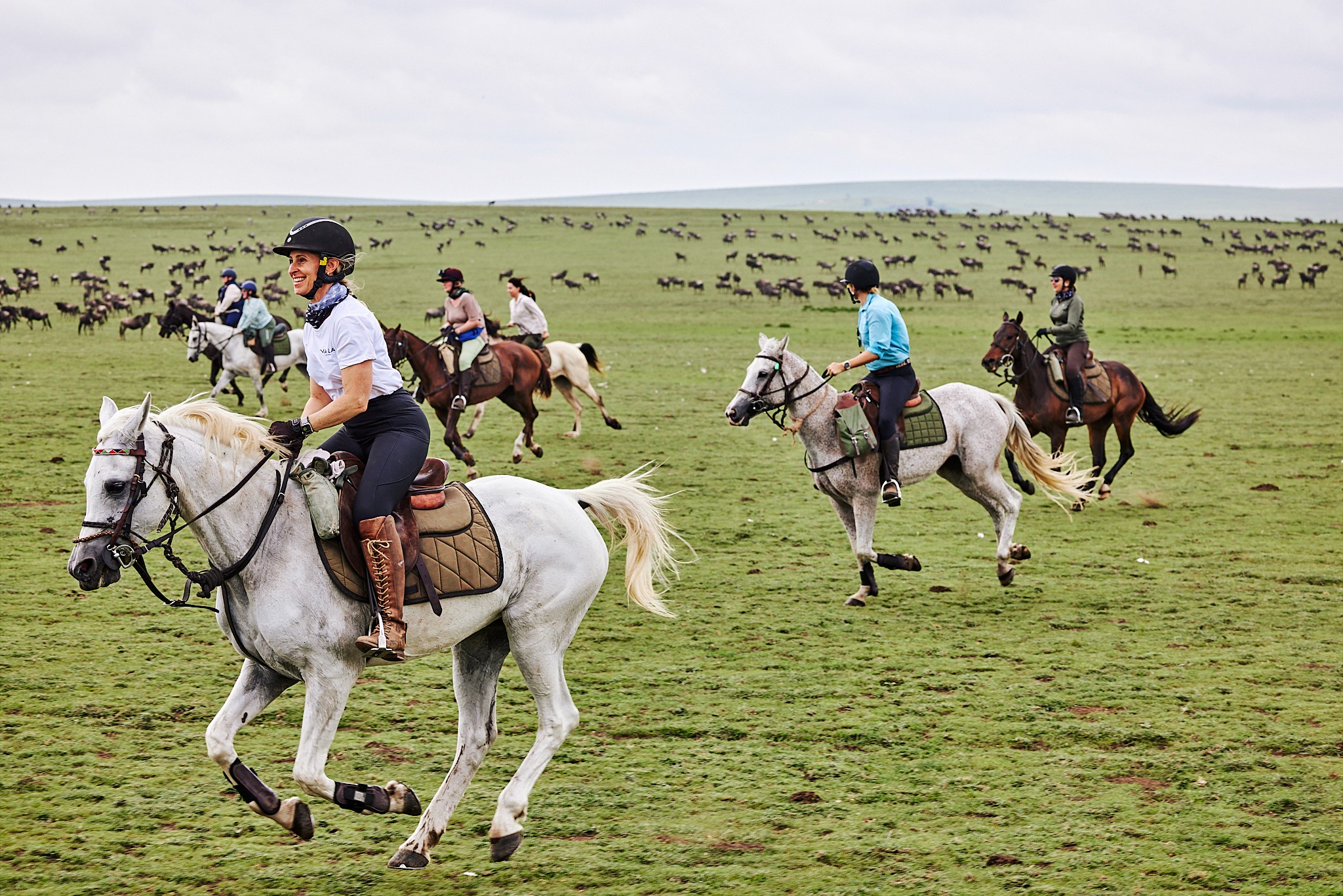 Grupp ryttare galopperar genom Serengeti omgivna av tusentals gnuer under migrationen, med fokus på en leende ryttare på en vit häst i förgrunden.