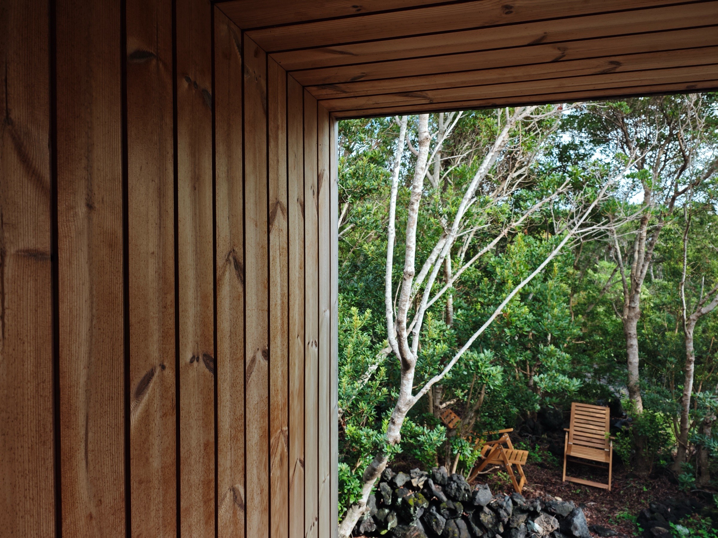 View from the deck toward the unpaved outdoor seating area