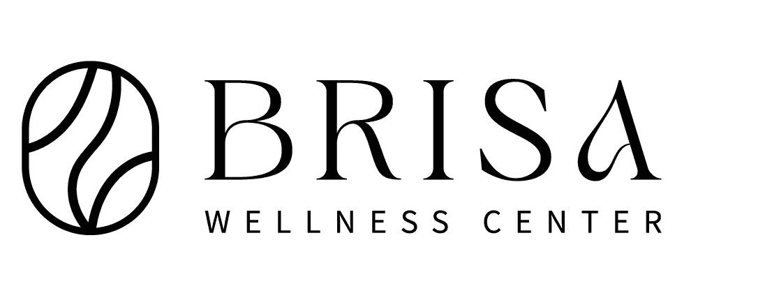 Brisa Logo