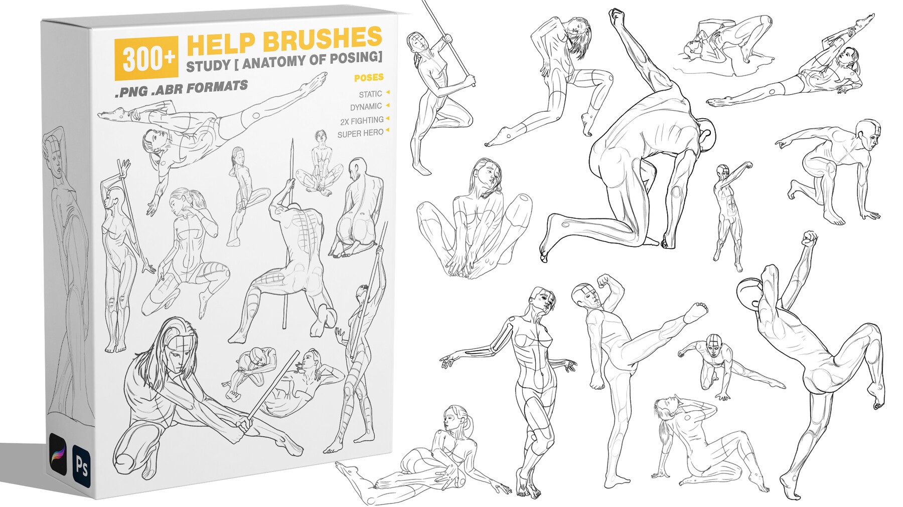 300 HELP BRUSHES 