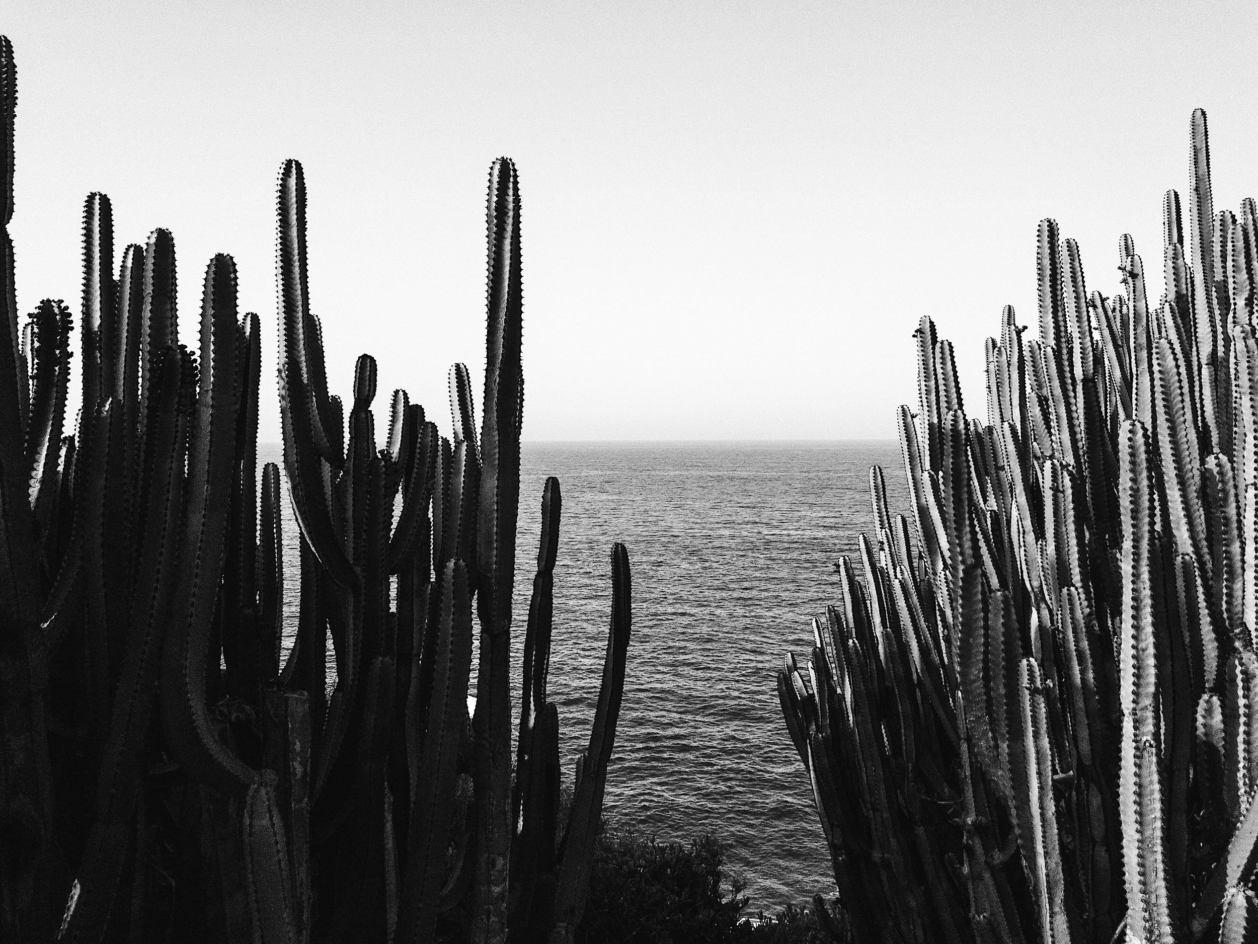 Private jet charter to Canary Islands Spain - Volcanic archipelago Atlantic paradise