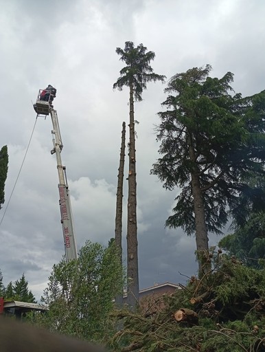 legna di varia pezzatura tagliata per camino