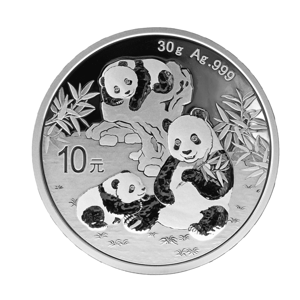 Logo 16 (Background Removed)