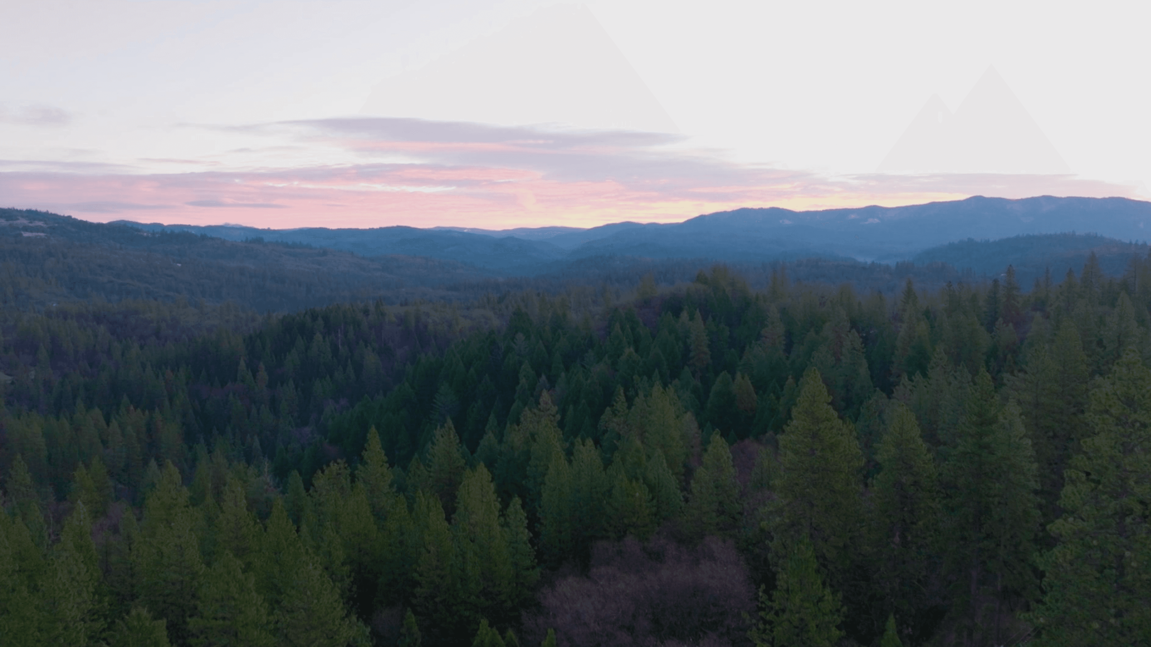 Batch.Works logo over a photo of a box of 3D printed objects