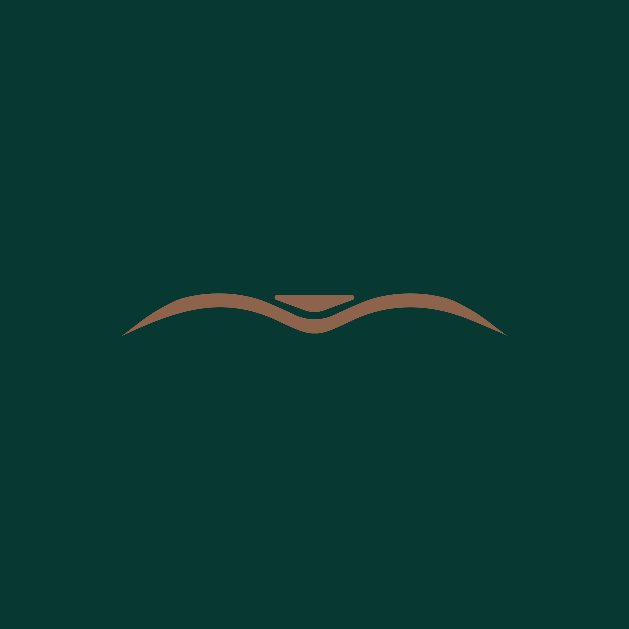 Project logo