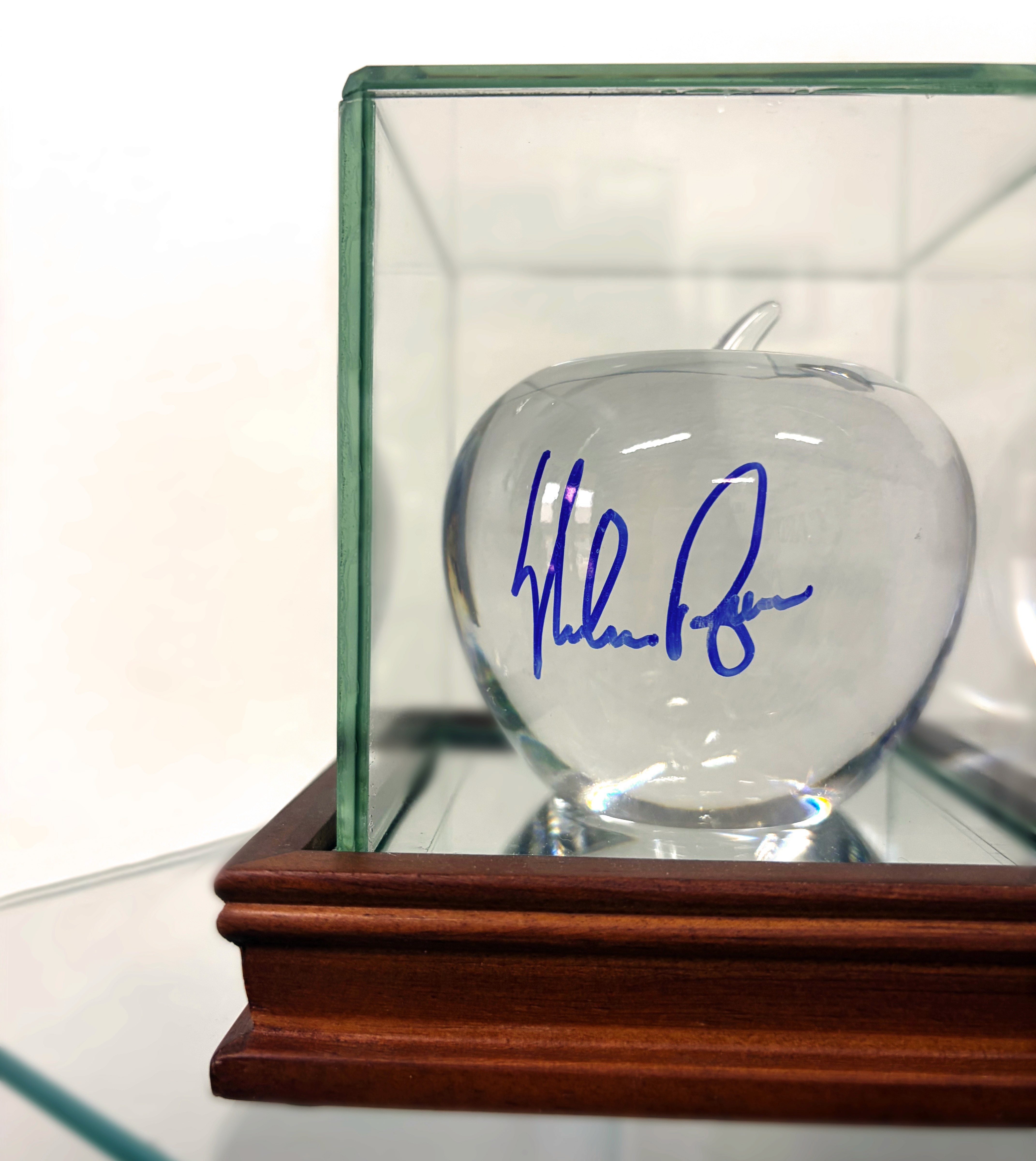 Modern indoor space with large glass doors, lush greenery, and a cozy seating area visible beyond.