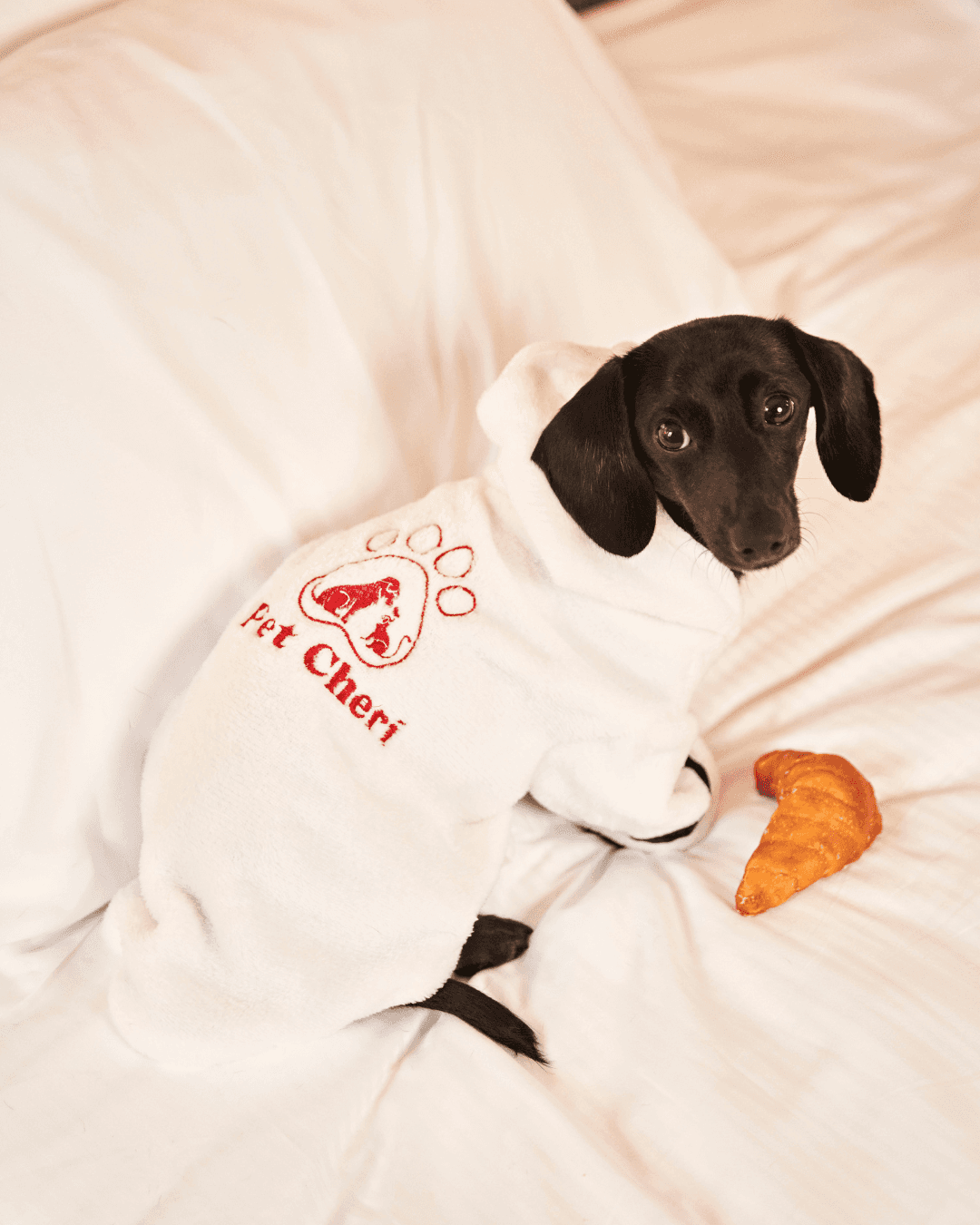 pet chéri partner lupi
