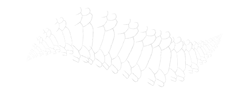 Scales (Bottom)