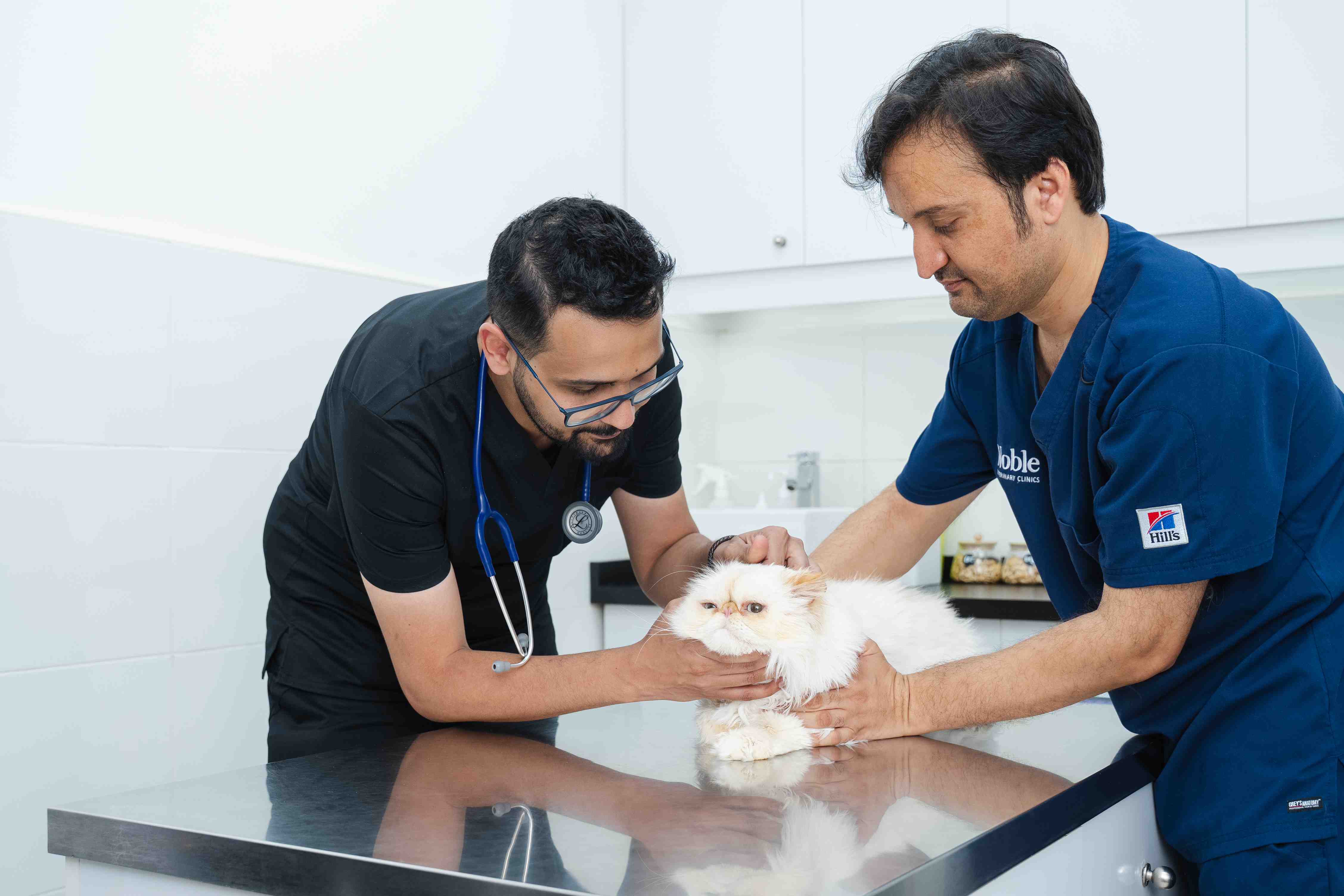 Two women, one in a veterinary uniform and one pet owner, gently examine a small, fluffy puppy on a table for an emergency situation. The scene conveys care and attentiveness in a clinic setting.