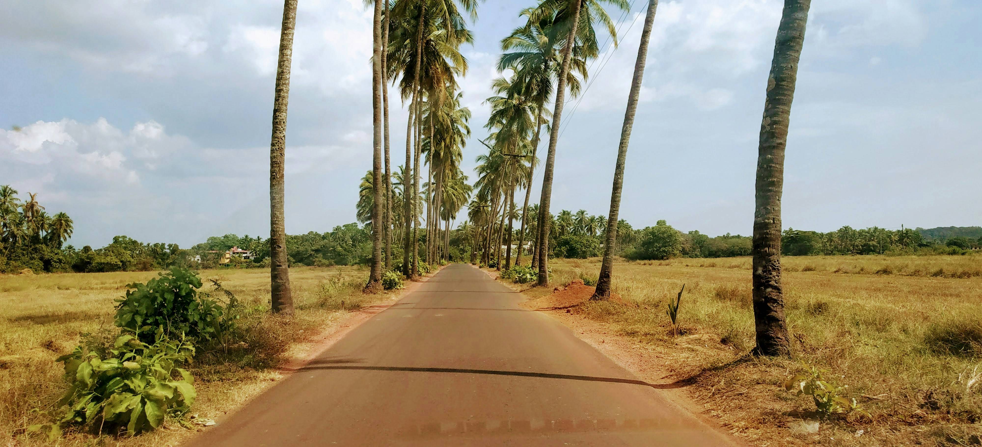 Travel blogs by bluewave