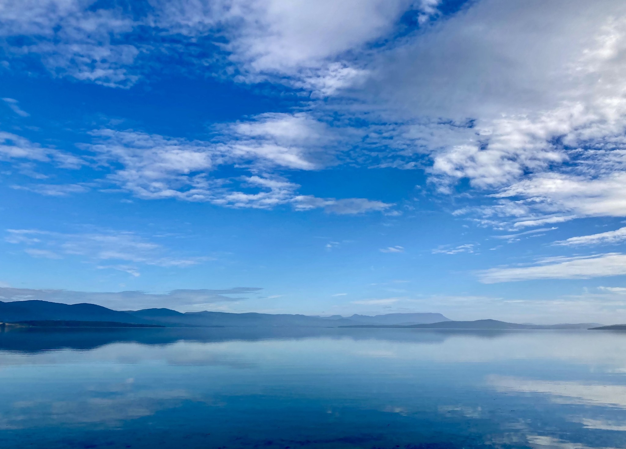 A cozy scene with warm sunlight casting stripes, featuring a potted plant and soft towels on a window sill.