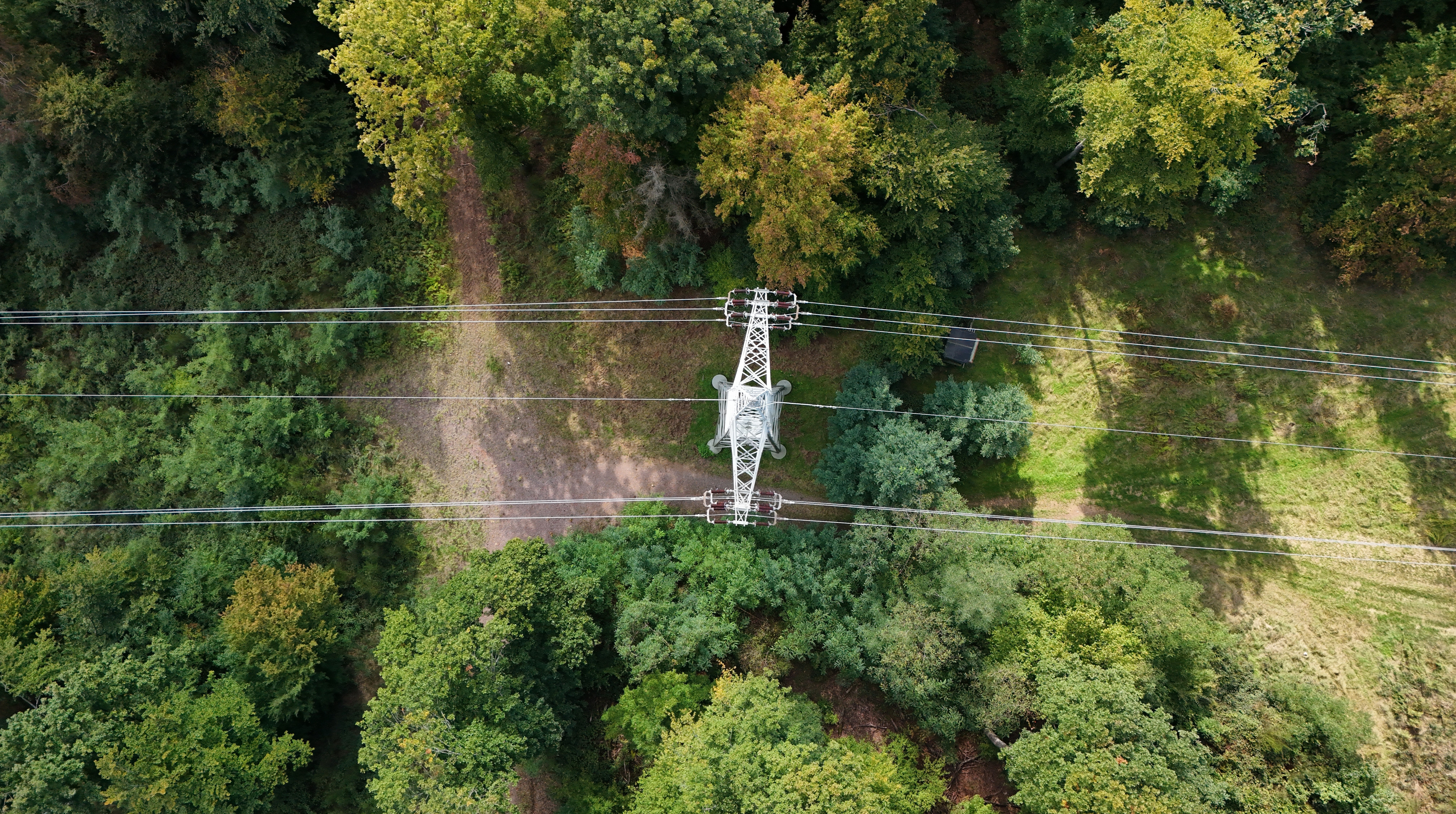 Emaldo Market Review August: The Finnish Ancillary Services Market