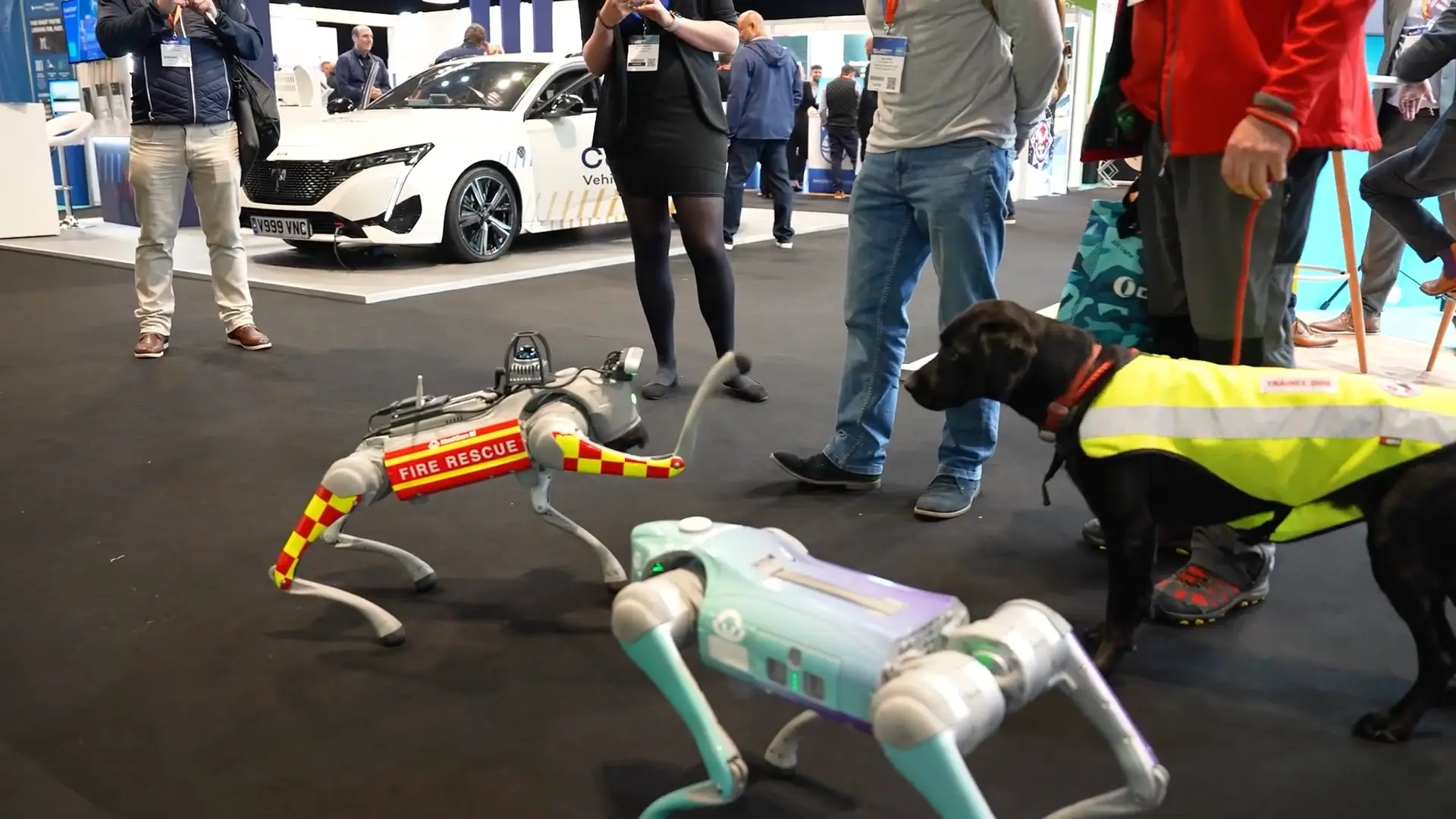 Trade show video production showcasing NextGen RI’s innovations and services