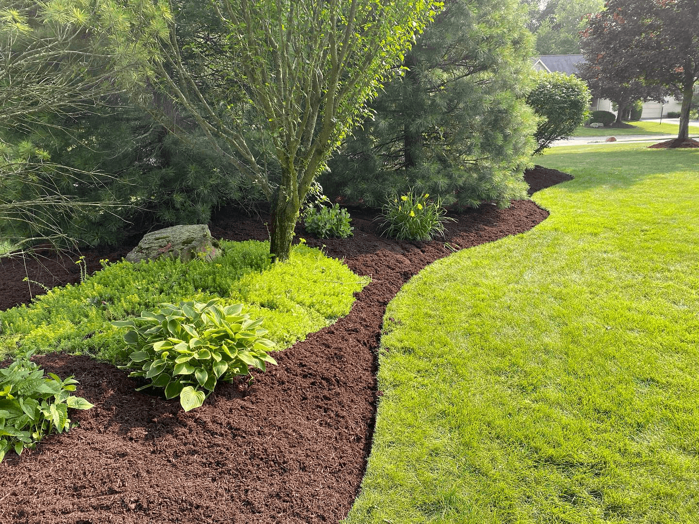 Freshly poured mulch outlined by cleanly edged grass