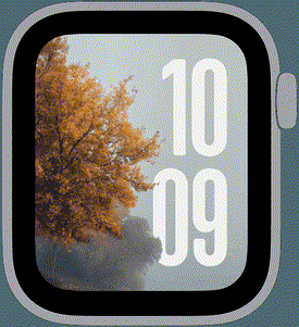 Overcast autumn Apple Watch face with muted skies and soft diffused light