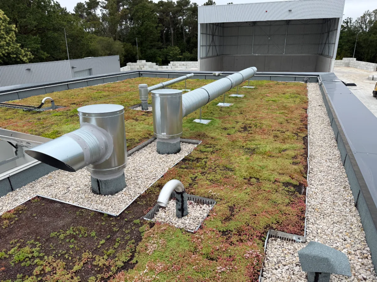 Toiture végétalisée avec gaines de ventilation en inox sur toit plat bâtiment industriel