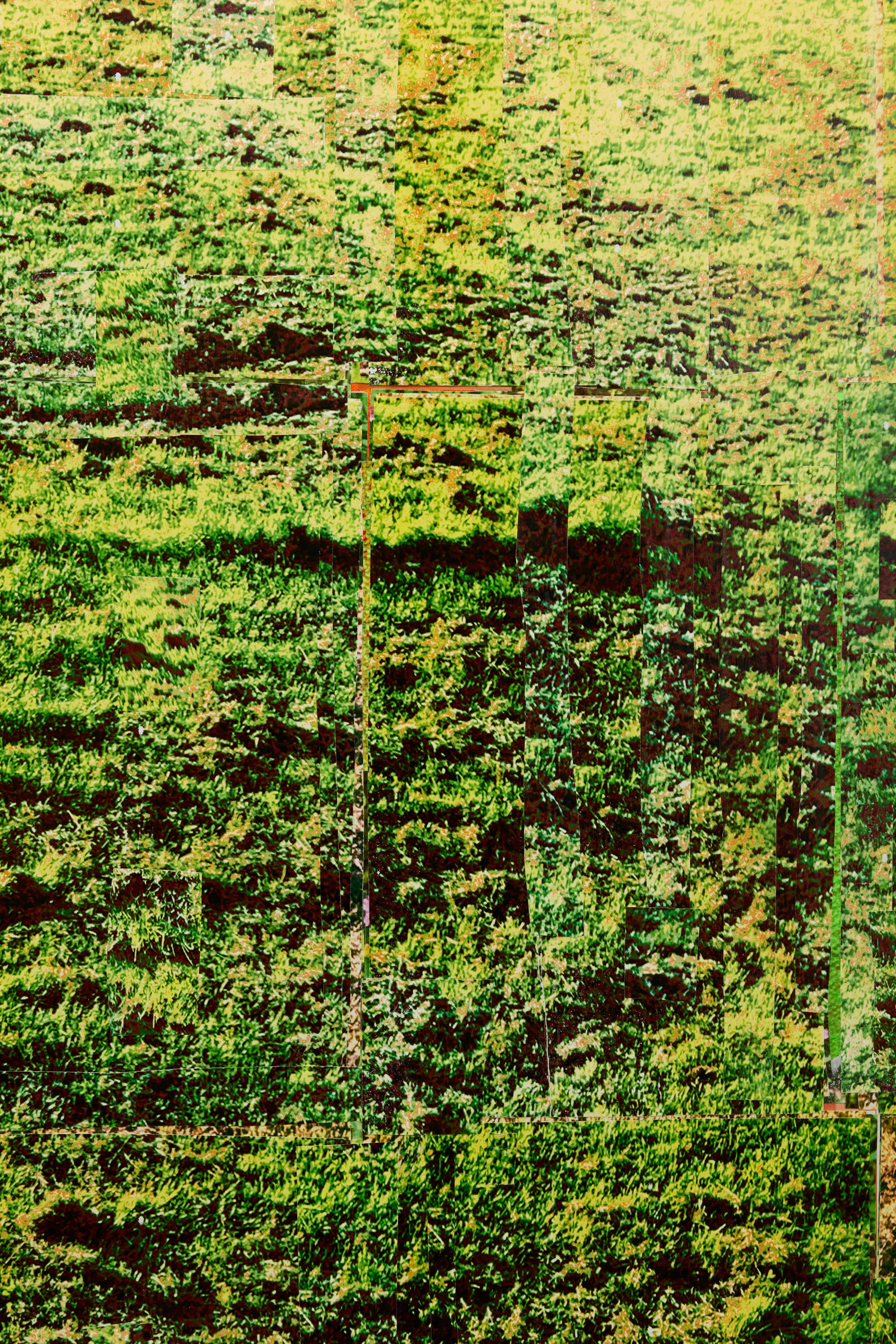 Nicholas Cheveldave artwork Summer Breeze Pt.3