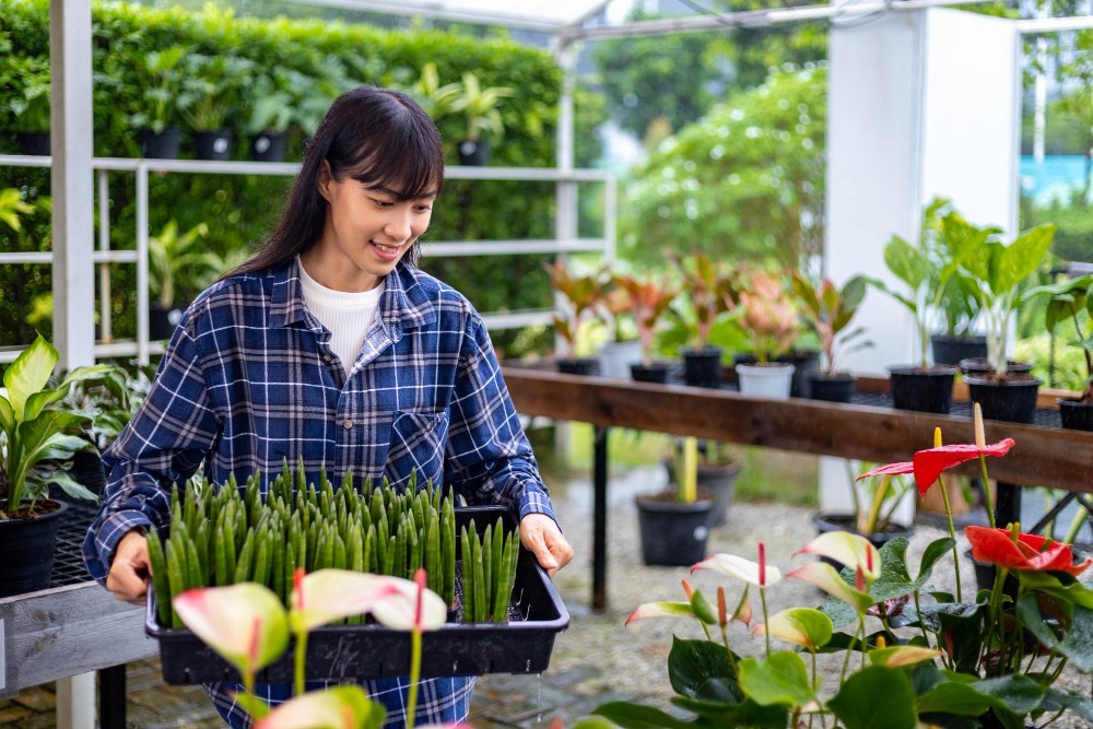 School Design School Renovation Building 校園升級 學校裝修 翻新學校 學校設計 學校工程 保養校園
