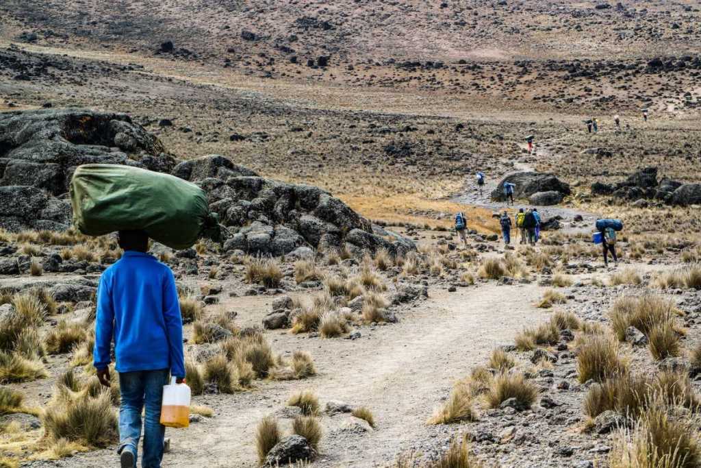 Kilimanjaro hiking trail