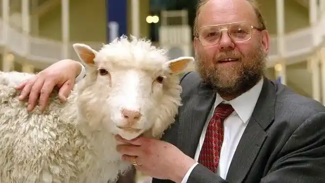 Hombre con una oveja