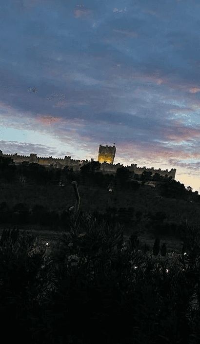 close-up-of-a-handcrafted-arched-wooden-door
