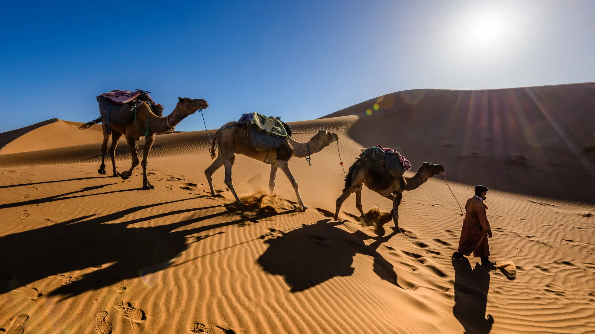 Balade en chameau désert de Marrakech