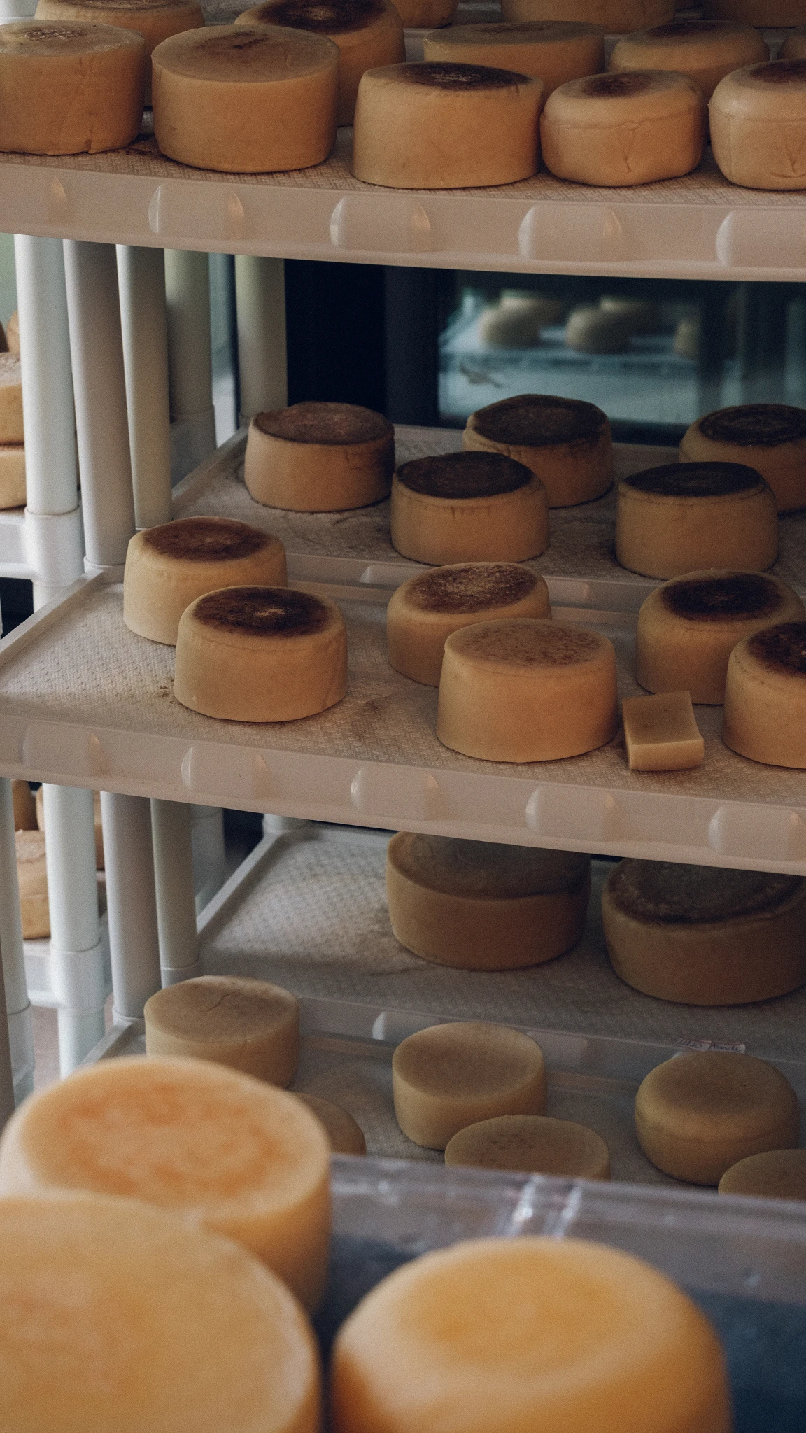 Cheese factory in Mantiqueira