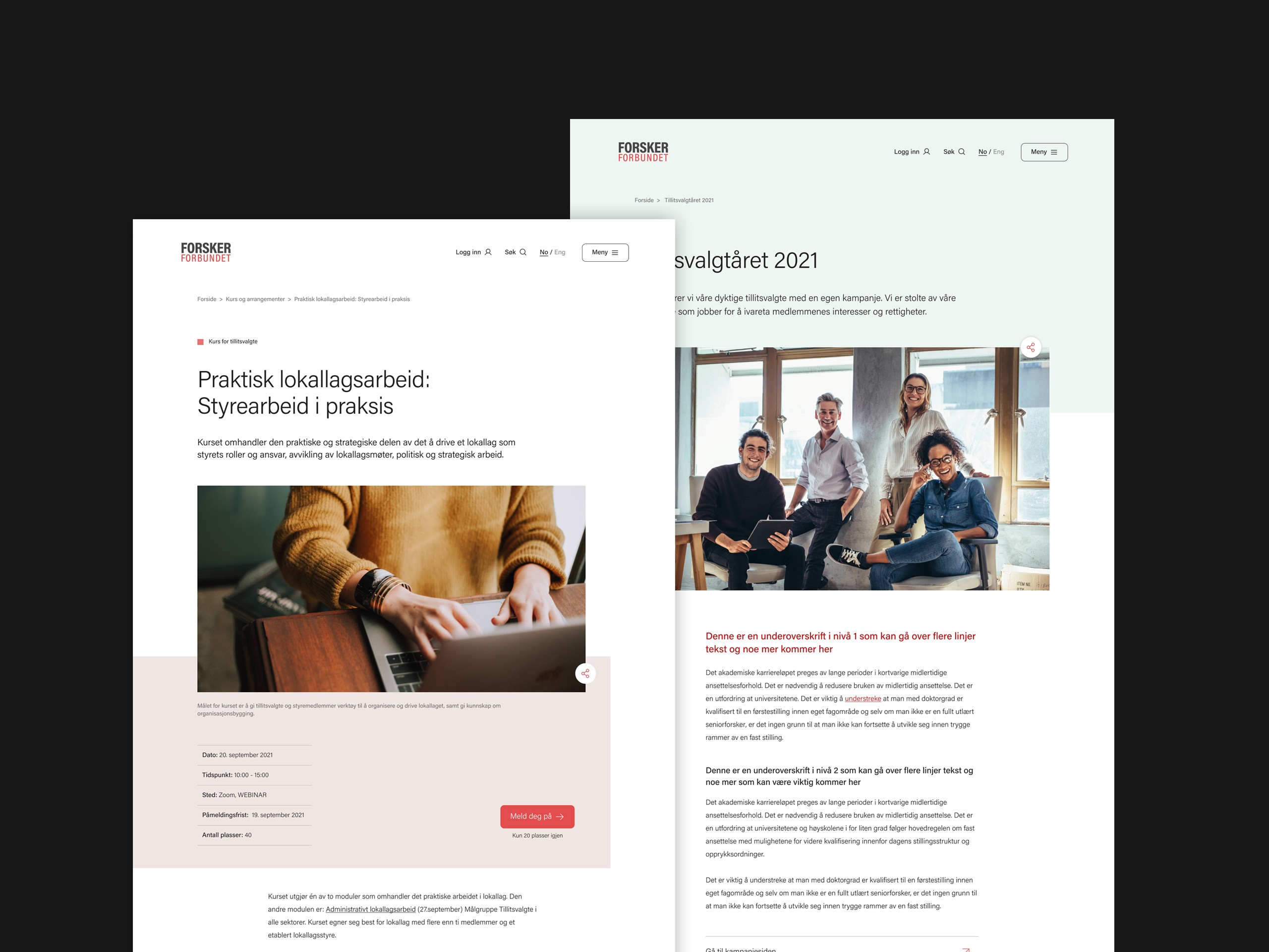 Skjerdumper av landingssider