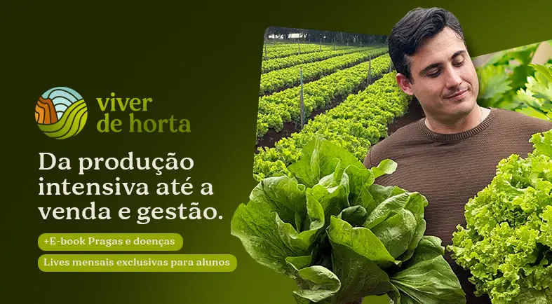 Banner de divulgação da Consultoria Técnica em Hortaliças com foto do especialista Paulo Fenato em frente a uma plantação.