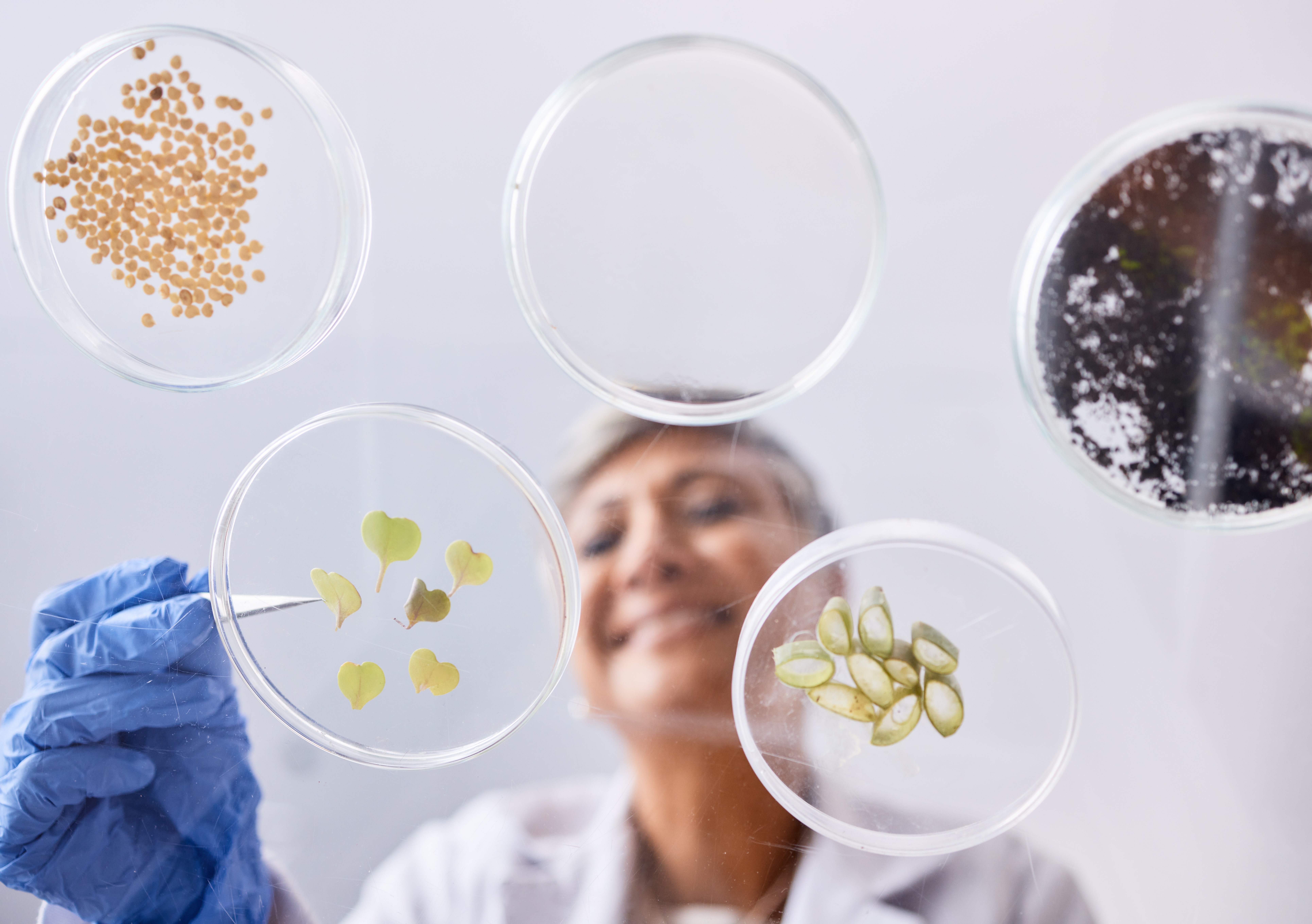 The image featured at the top of the about us page #1