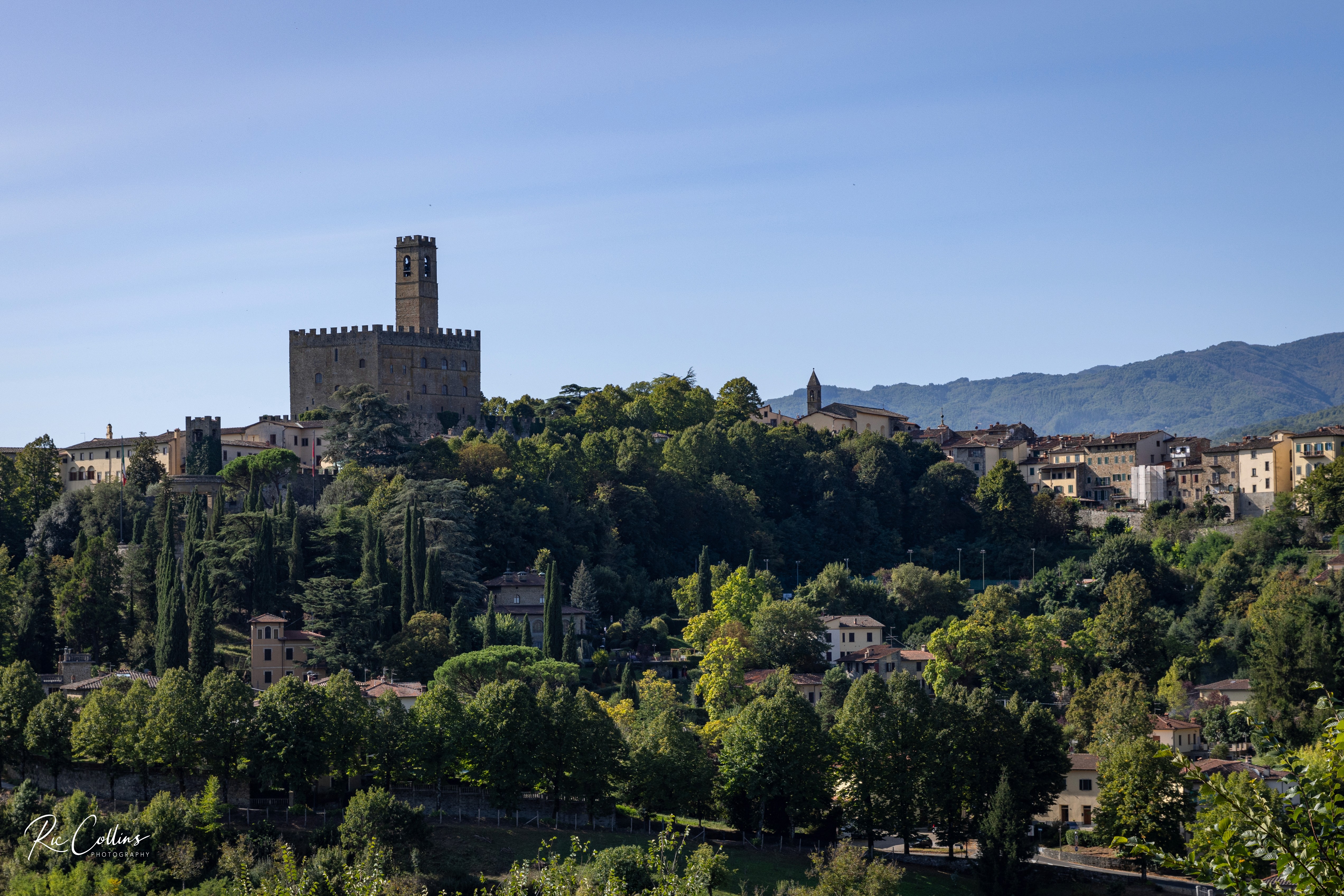close-up-of-a-handcrafted-arched-wooden-door
