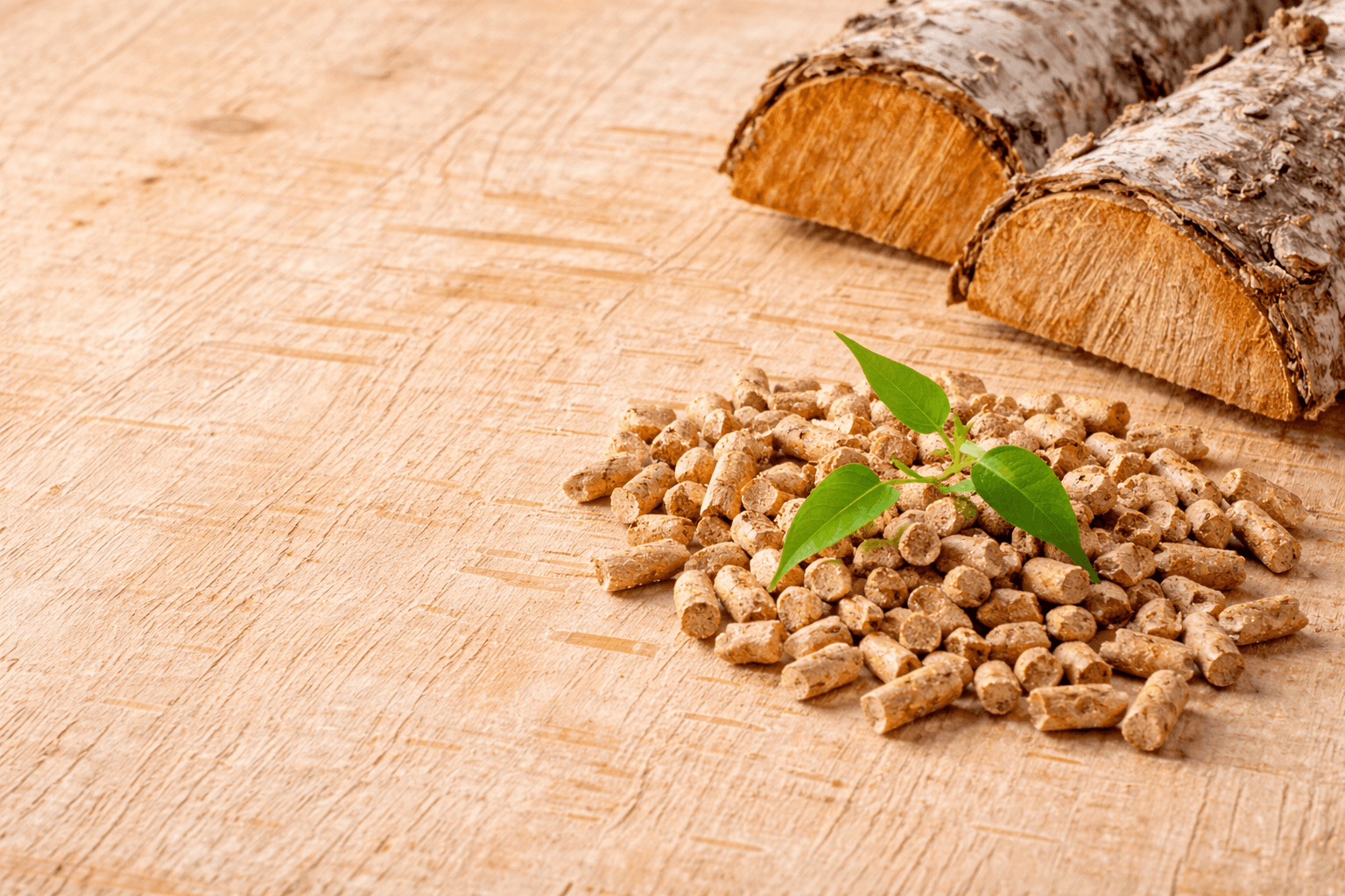 granulés pellets avec jeune pouse organique