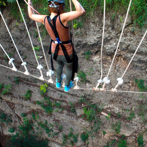 一个人穿着安全带过一座绳索桥,下方是陡峭的峡谷,底部有岩石和植被。
