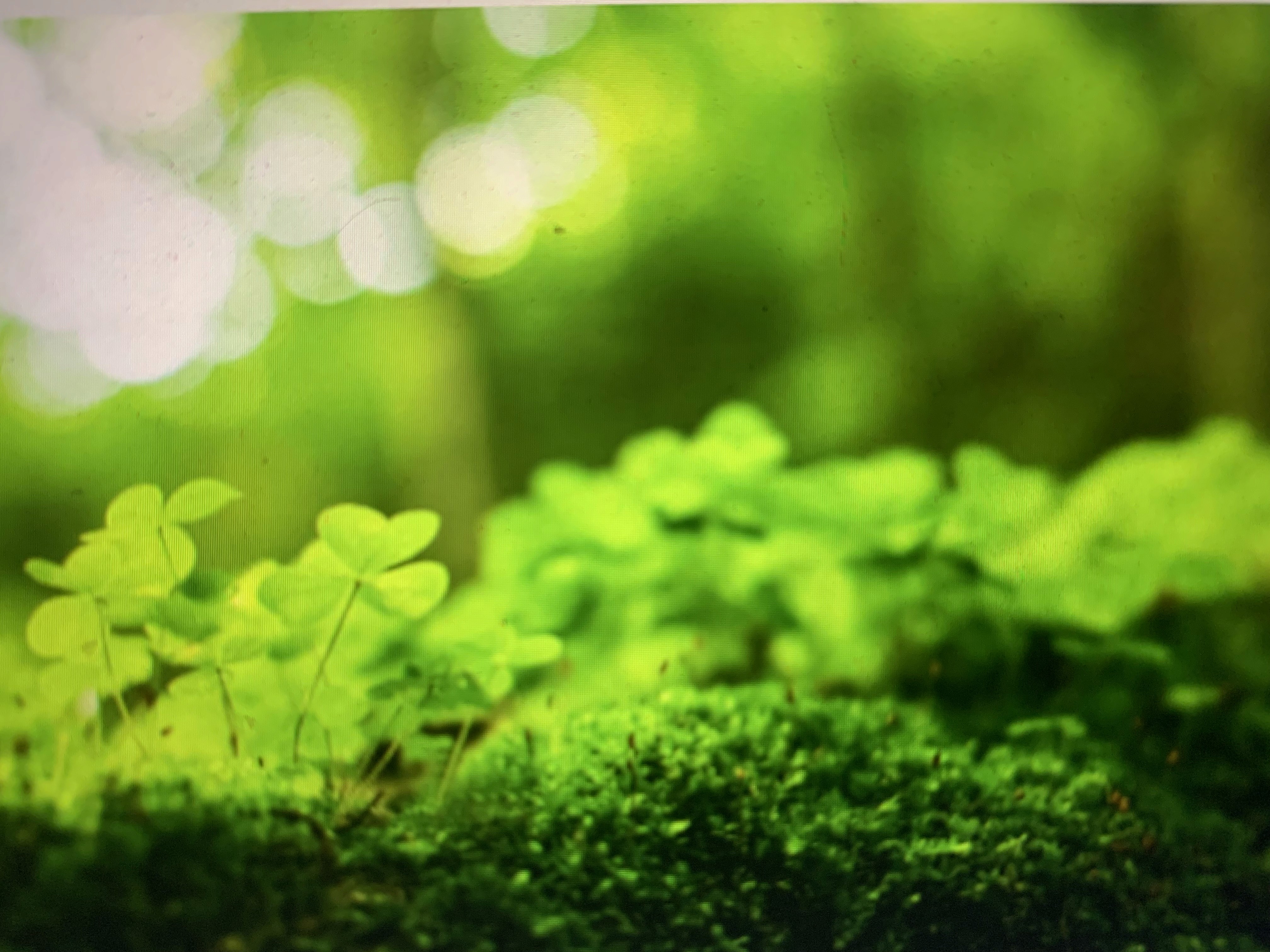 Lorem ipsum dolor sit amet, consectetur adipiscing elit.