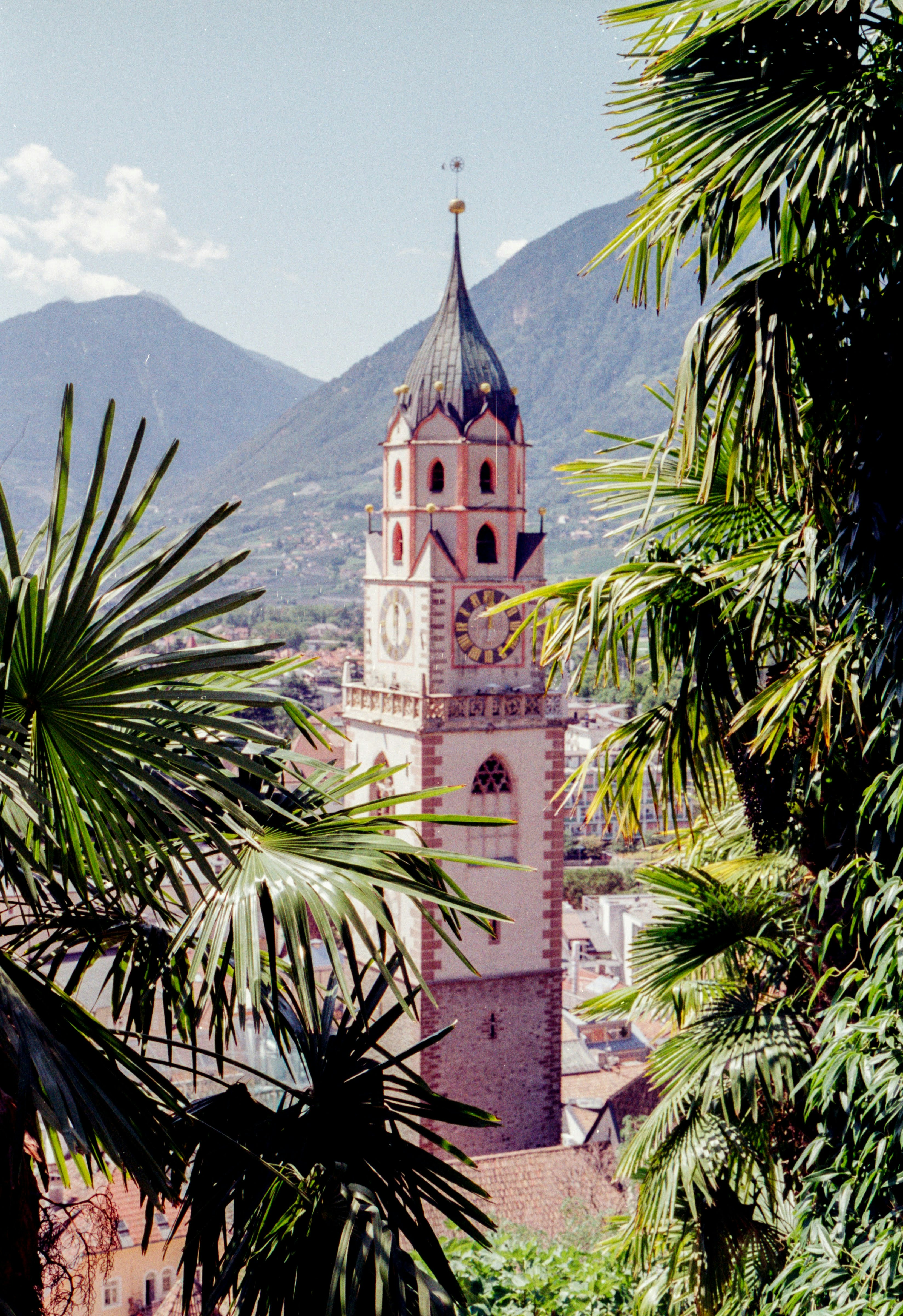 A clock tower rises among palm trees.