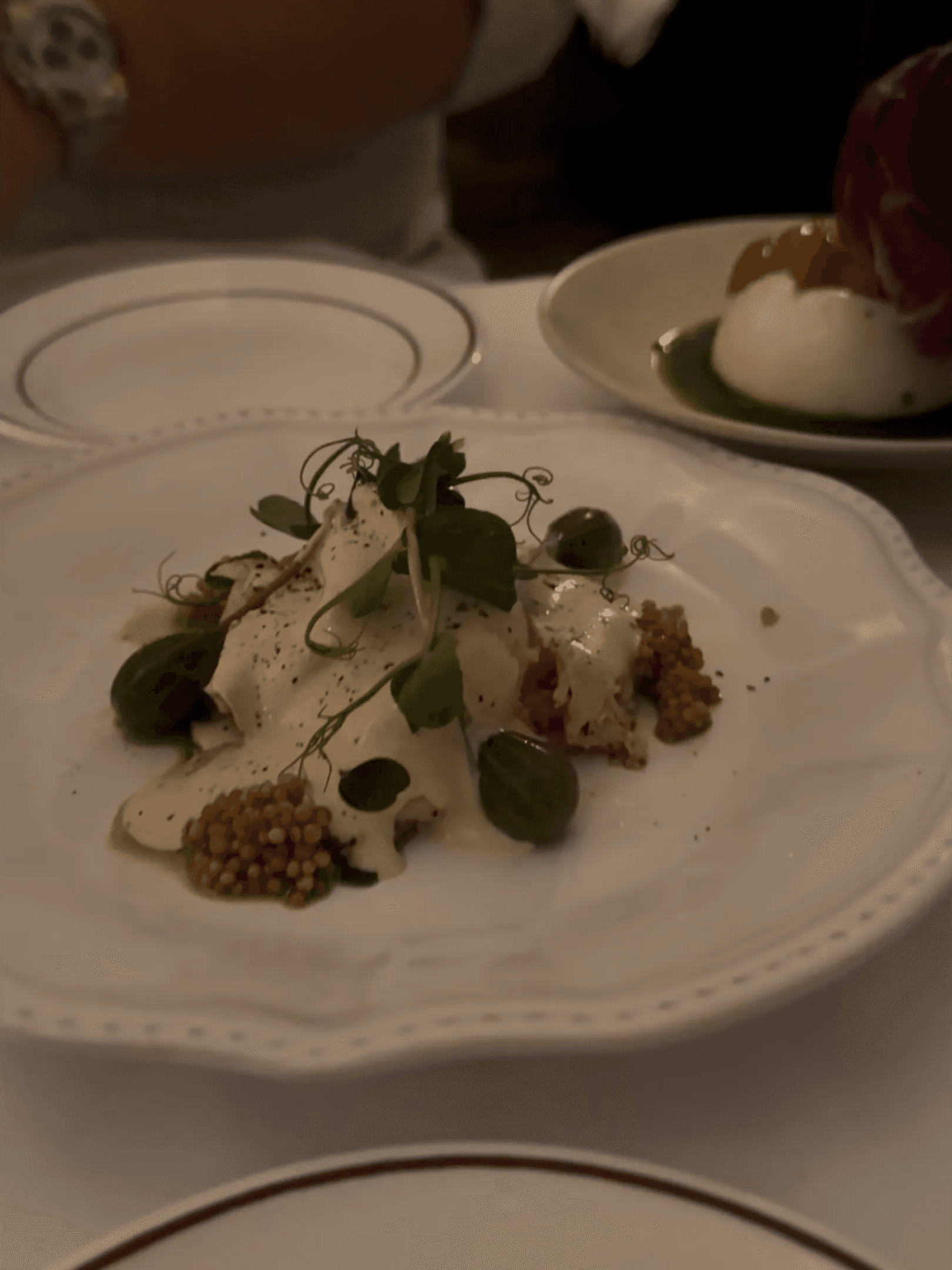  Gourmet starter dish served at Alfi’s restaurant in Paris