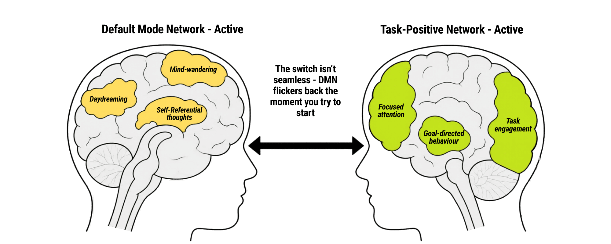 The Brain's Gear Shift: Rest Mode vs. Focus Mode