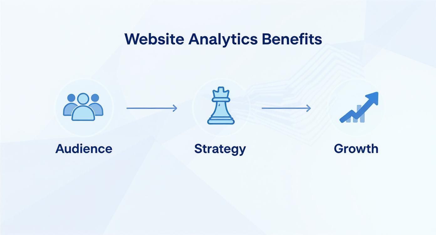 Infographic about what is website analytics