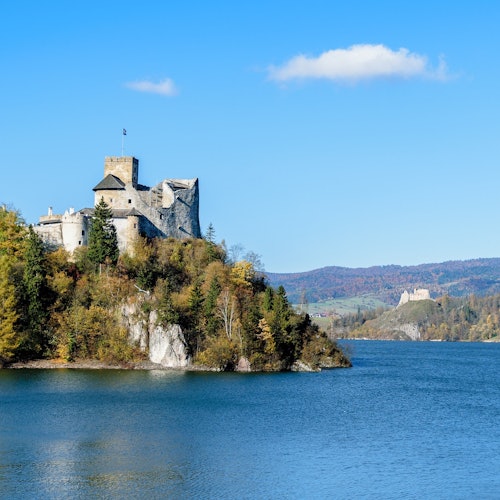 Замок Неджица