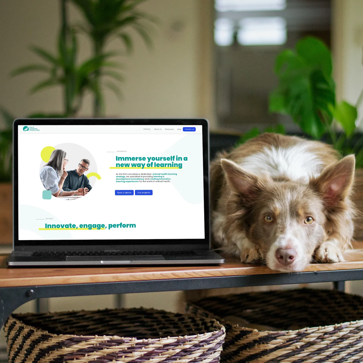 A laptop showing a website, next to a dog.