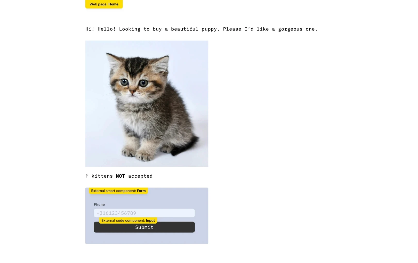 Form 컴포넌트 안의 Input 코드 에러를 나타냅니다.