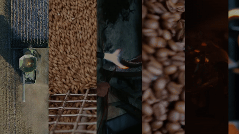 Blockchain in Commodity Trading The Executive Guide to Instant Settlement & Cost Reduction - Main Feature Image