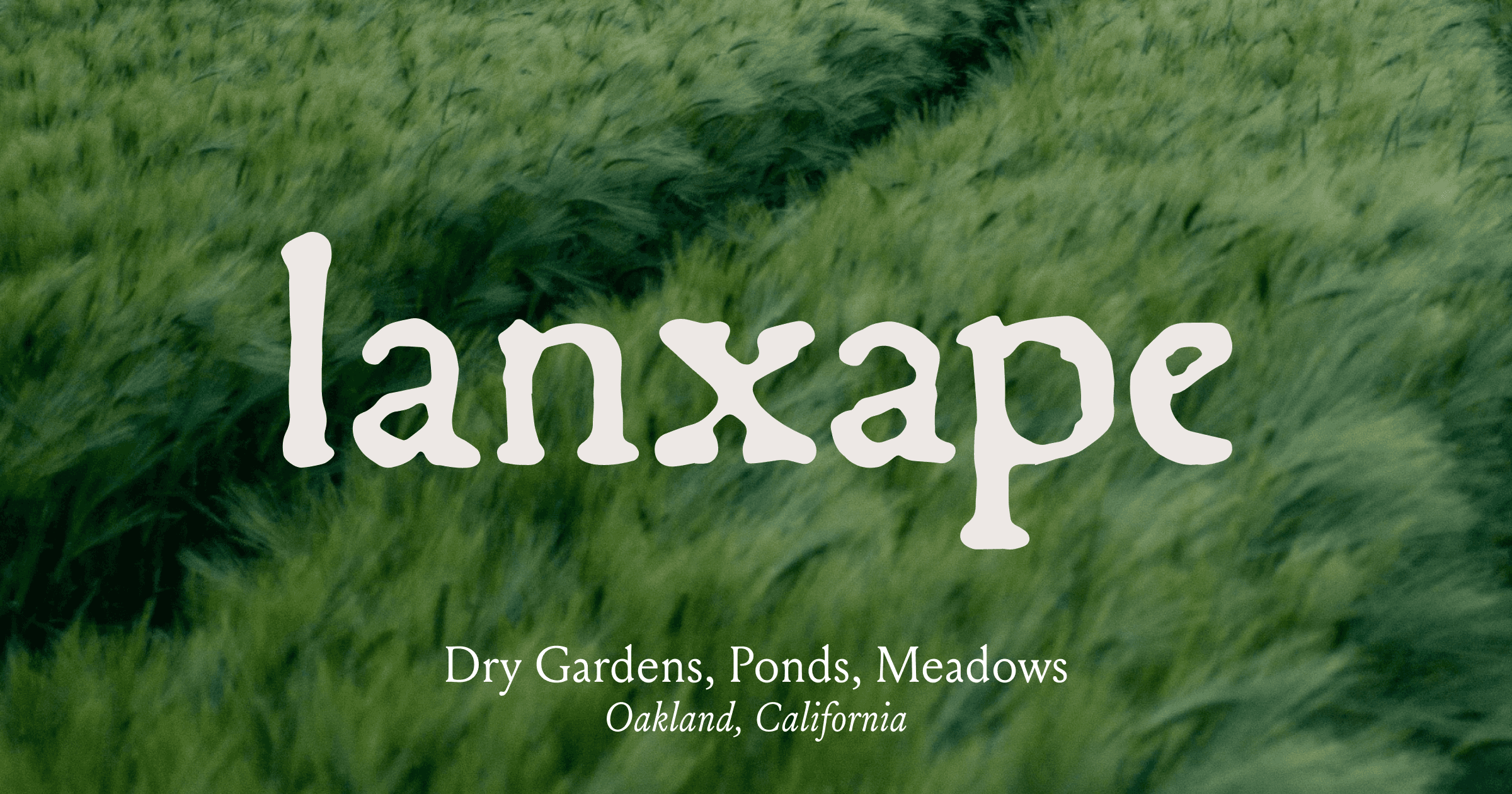 LANXAPE INC logo